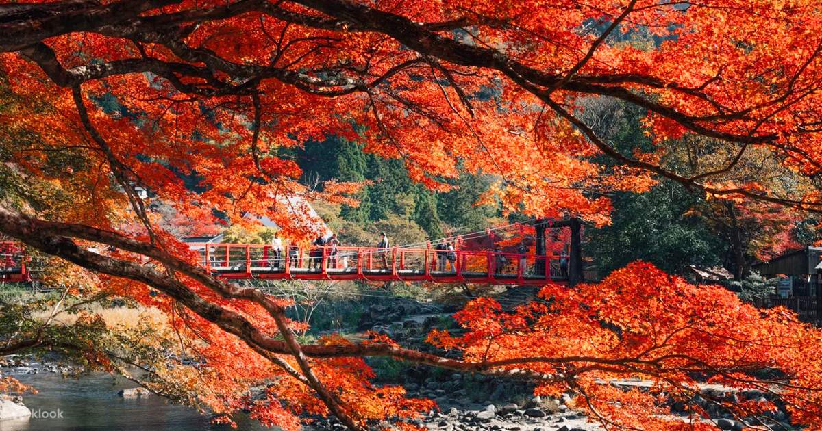 Must-See Autumn Foliage Spots in Nagoya, Japan | Tiger
